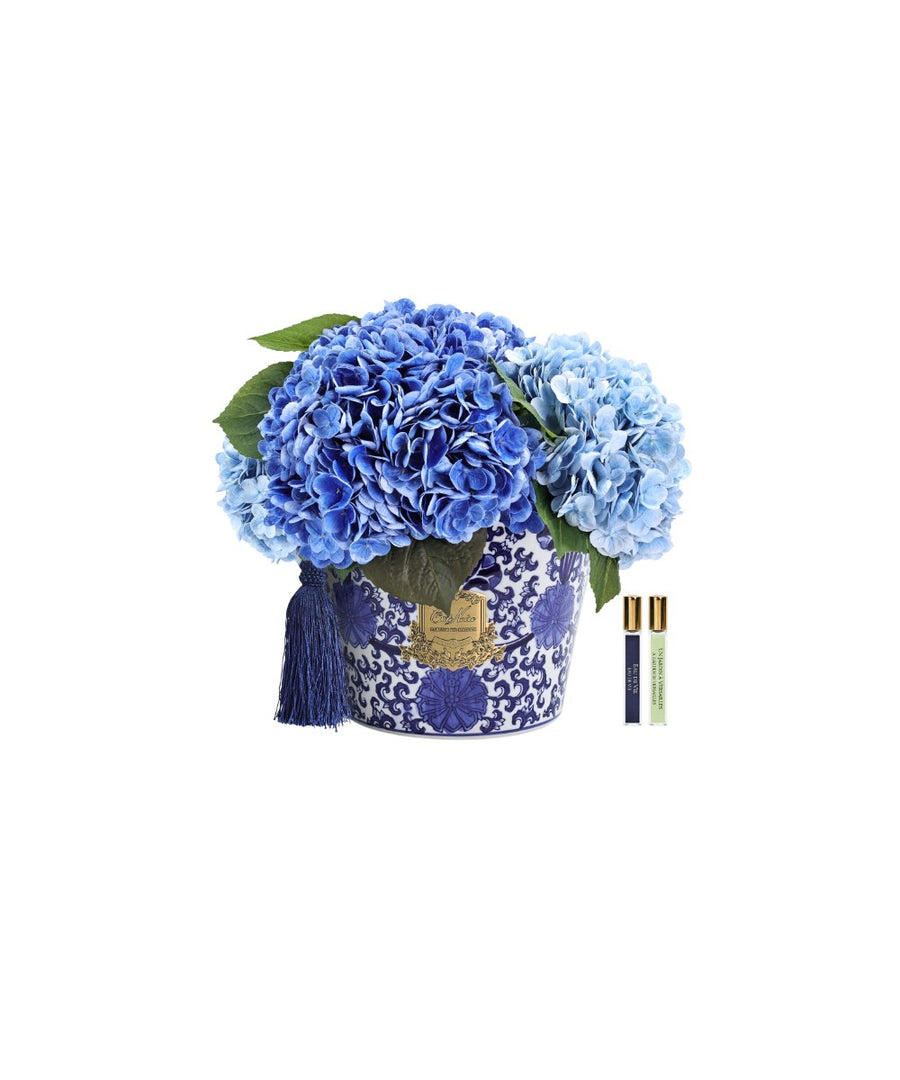 עציץ Oriental Hydrangeas כחול COTE NOIR