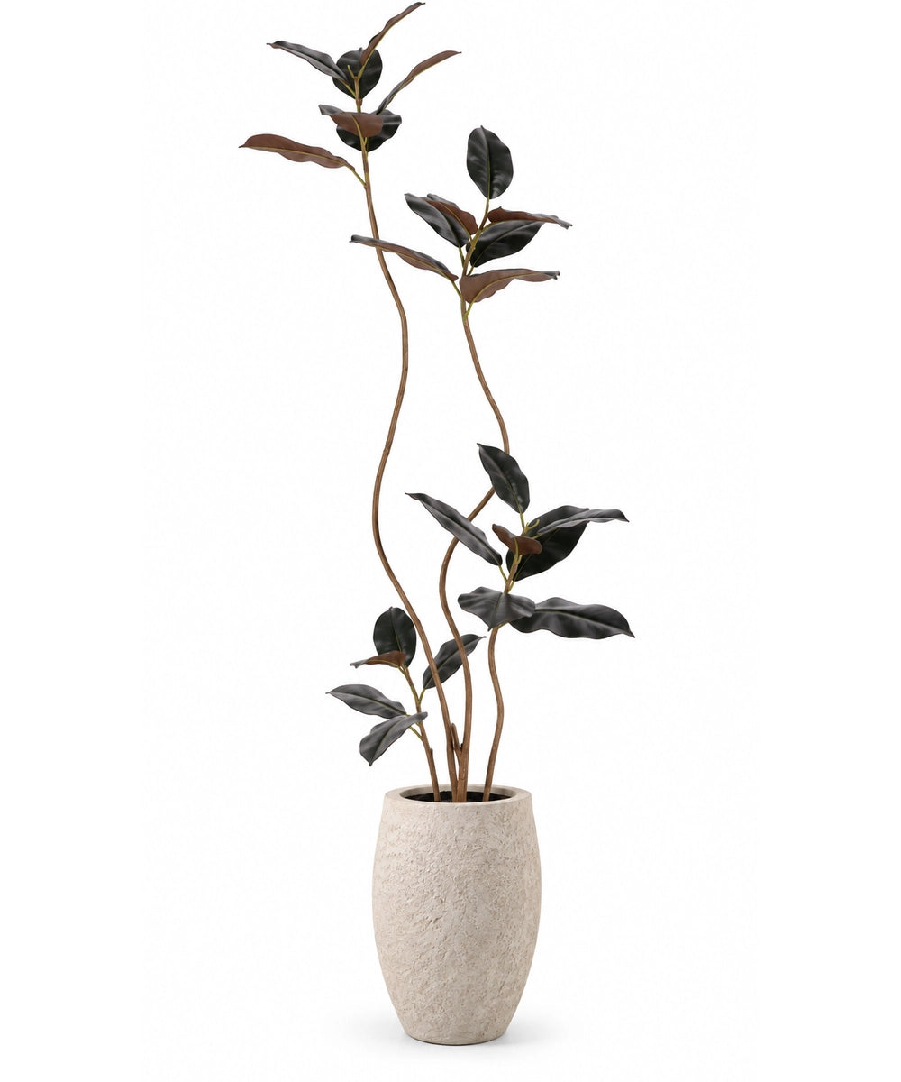 צמח מלאכותי DARK FICUS