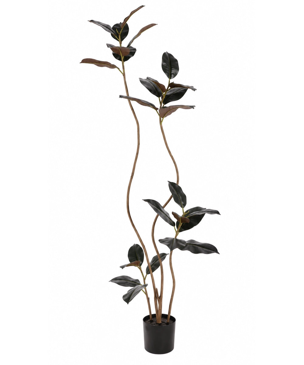 צמח מלאכותי DARK FICUS