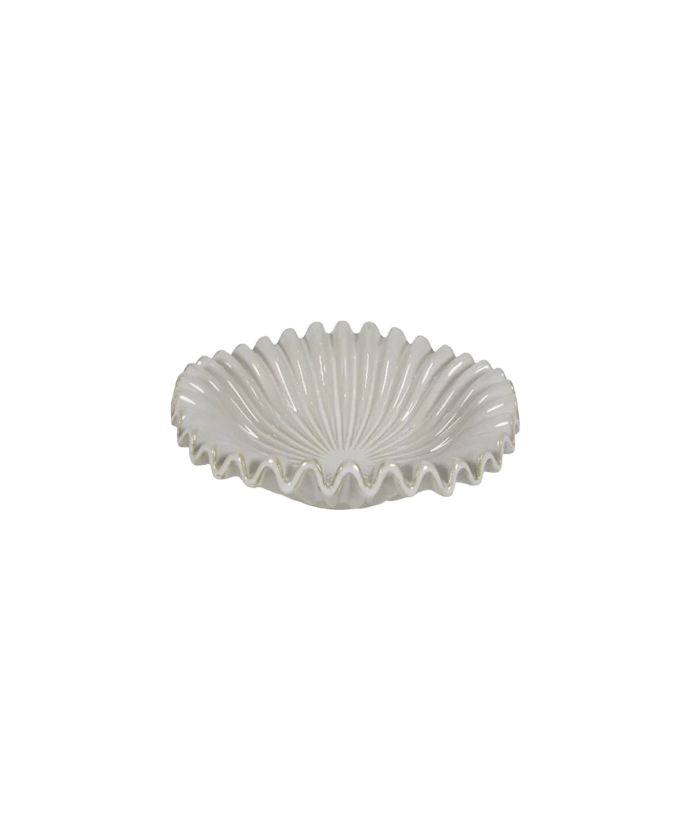 דקורציה NAUTILUS SHELLS