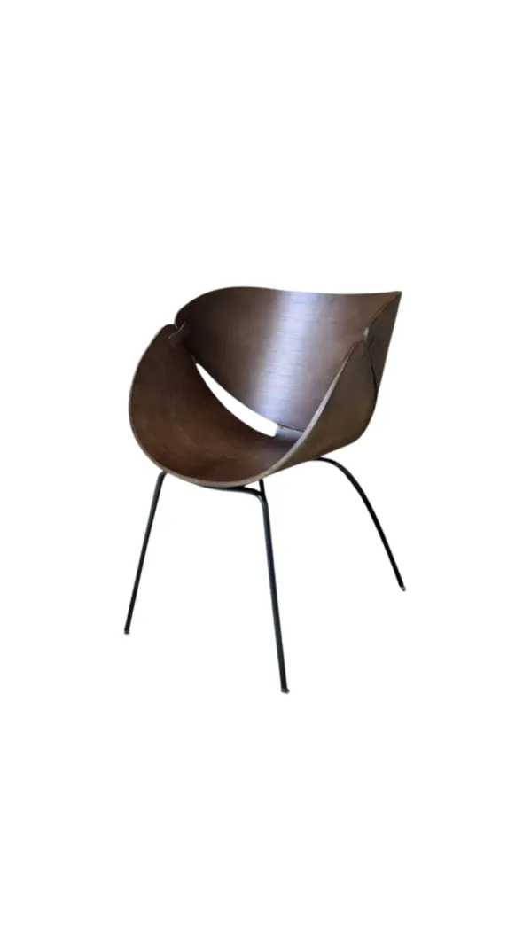 עותק של ללא שם (3)