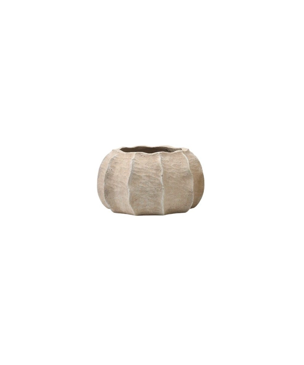 בית עציץ IVORY BOTANICA – תמונה 3