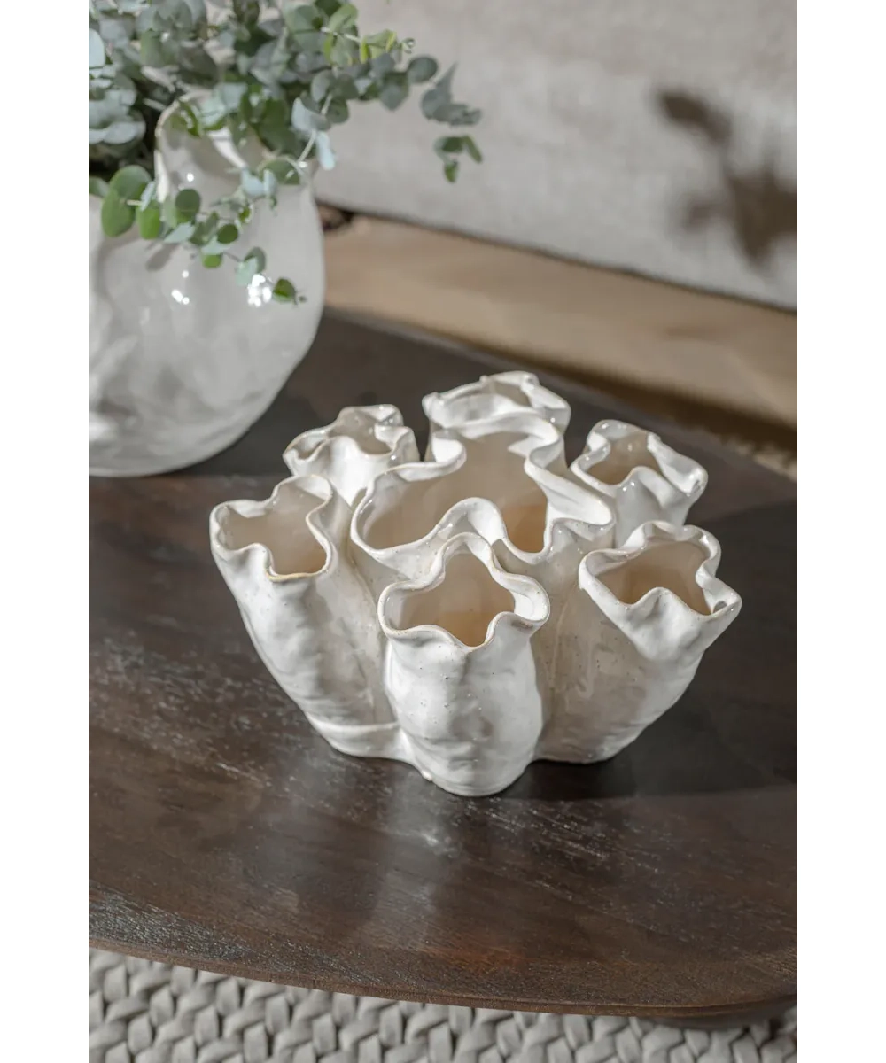 ואזה BLAISE WHITE – תמונה 3