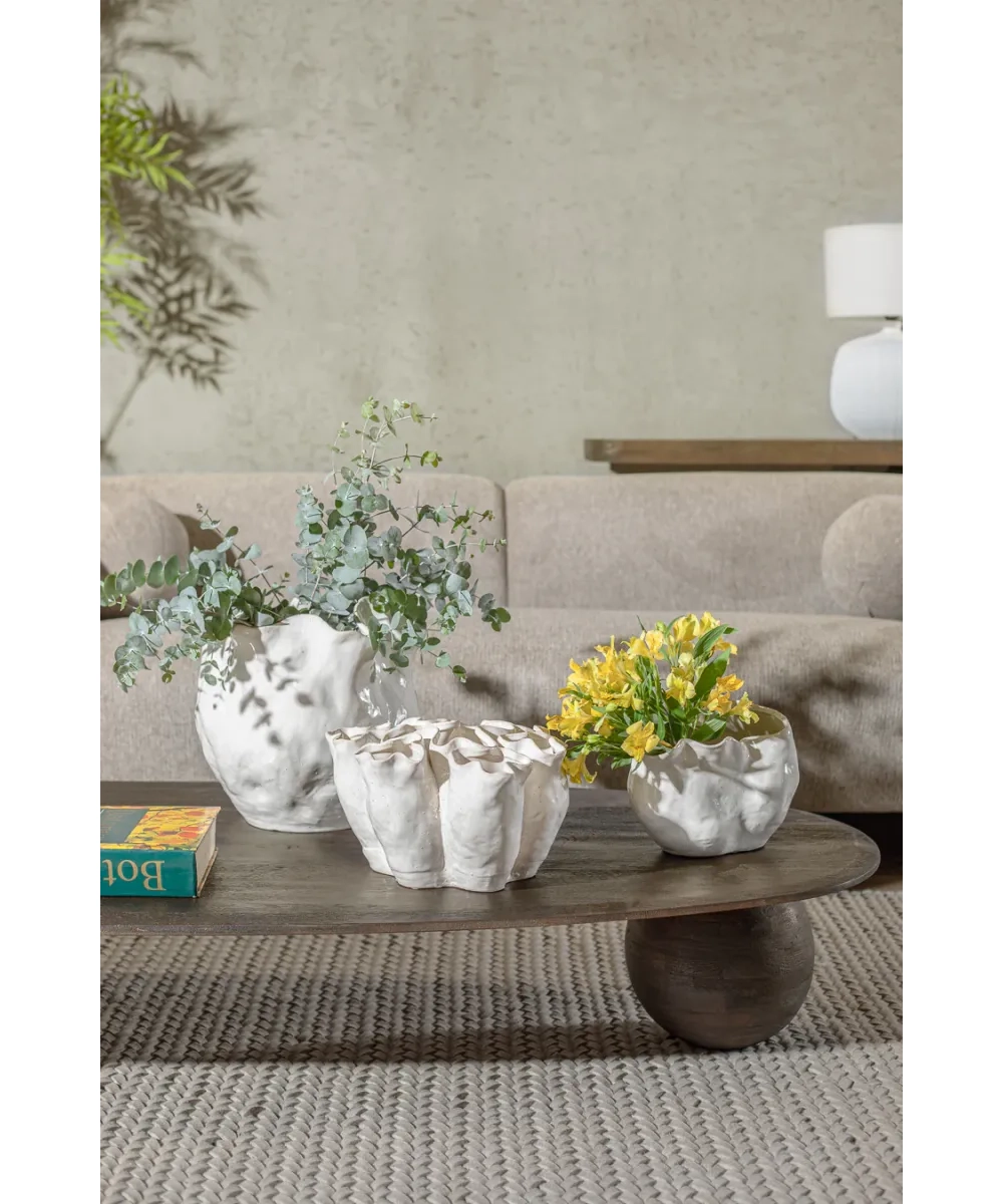 ואזה BLAISE WHITE – תמונה 4