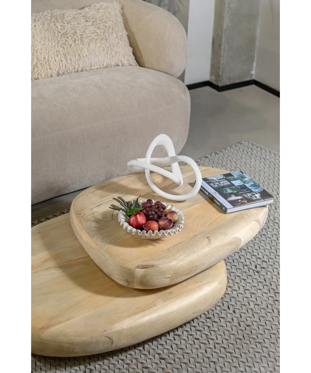 Alternative view of דקורציה NAUTILUS SHELLS