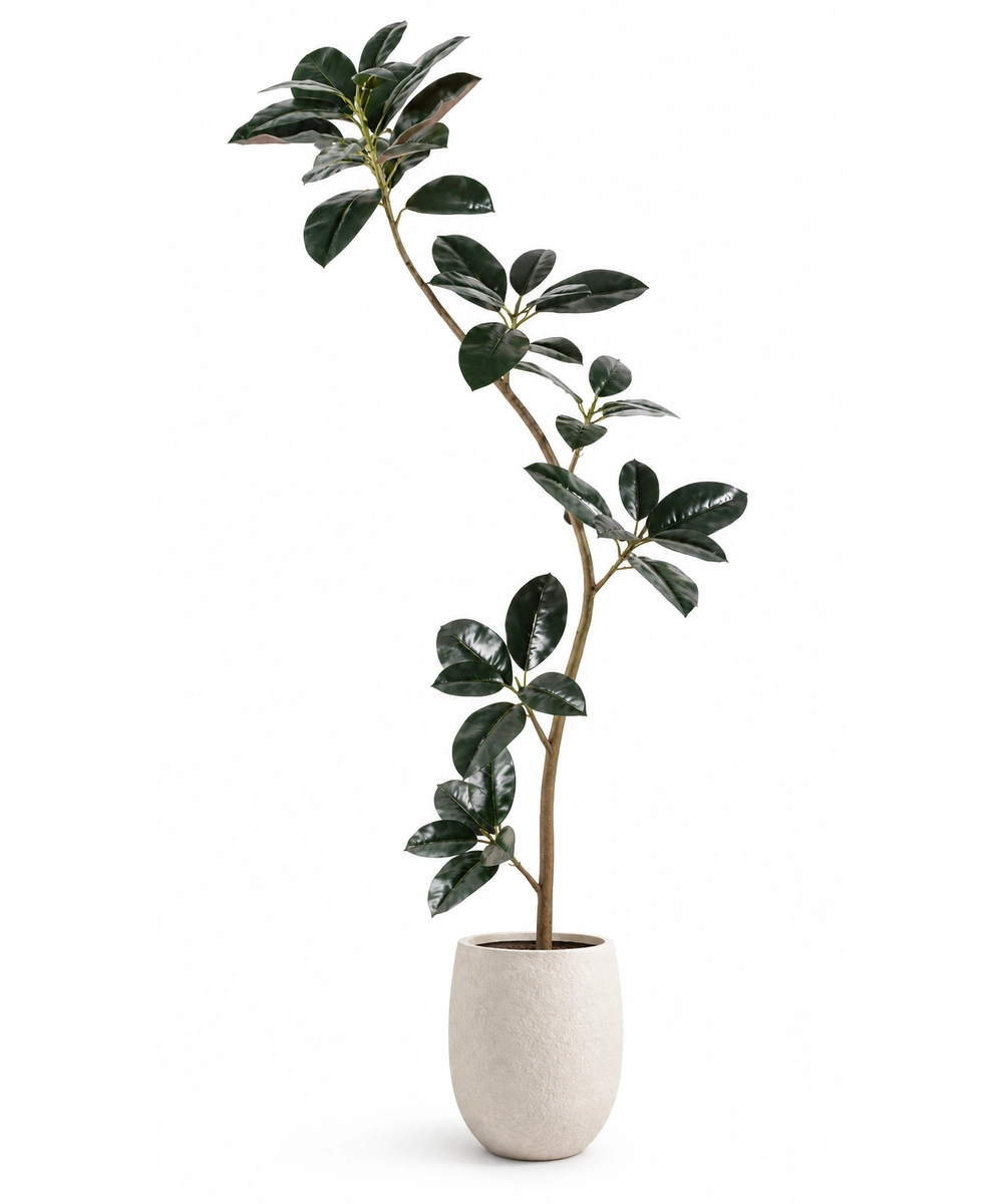 צמח מלאכותי DARK FICUS