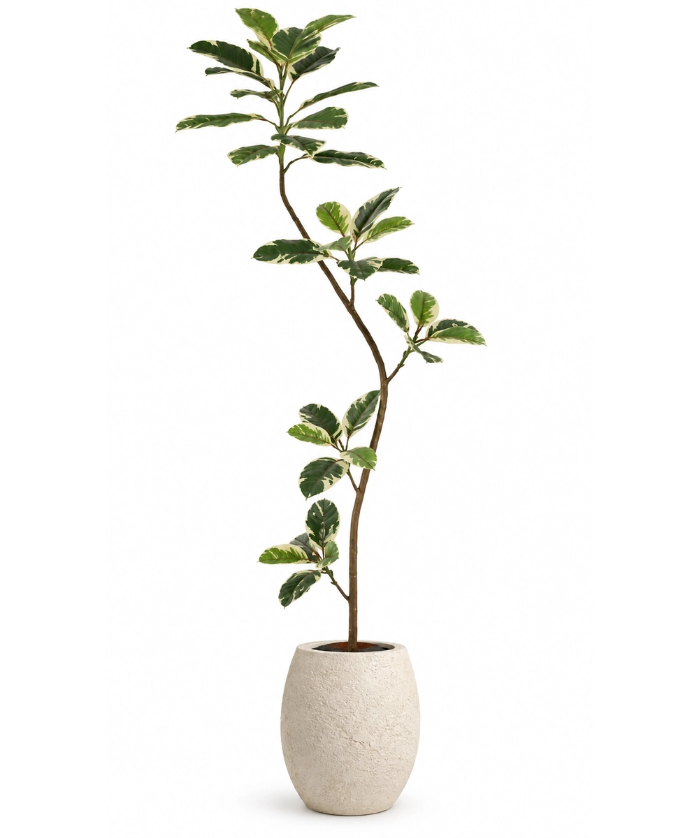 Alternative view of צמח מלאכותי LIGHT FICUS