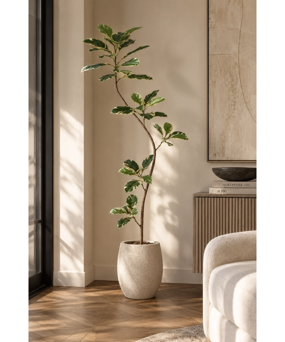 צמח מלאכותי LIGHT FICUS – תמונה 5